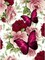 5D Diamond Painting Kits Adults DIY Diamond Painting Canvas Full Roses Butterflies Painting Art Kit for Beginners Home Art Decoration Hanging Painting 12" x 16"
